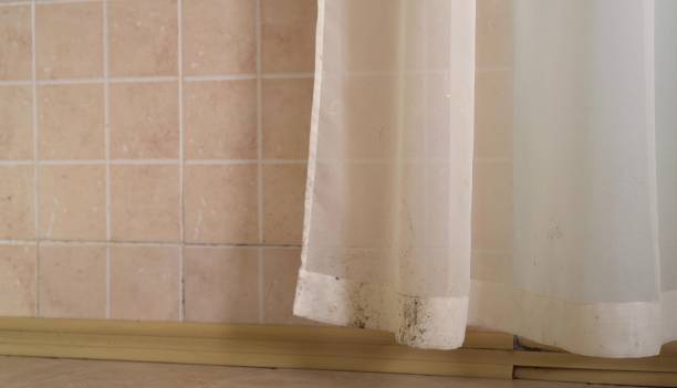 Best Mold-Related Health Consultation  in Regency At Monroe, NJ