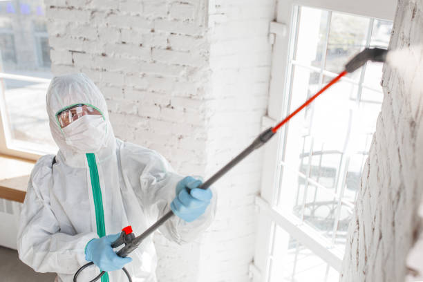 Best Real Estate Mold Inspection  in Regency At Monroe, NJ