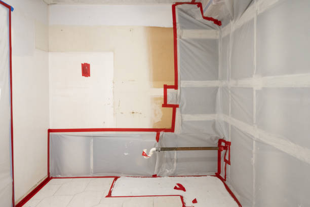 Professional Mold Removal in Regency At Monroe, NJ