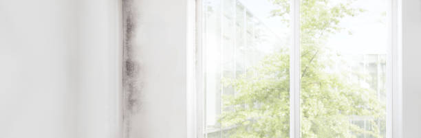 Best Indoor Air Quality Assessment  in Regency At Monroe, NJ