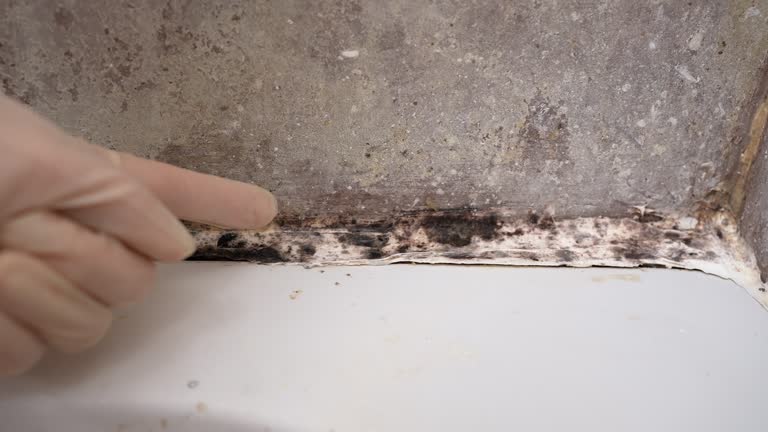 Best Mold Remediation for Healthcare Facilities  in Regency At Monroe, NJ